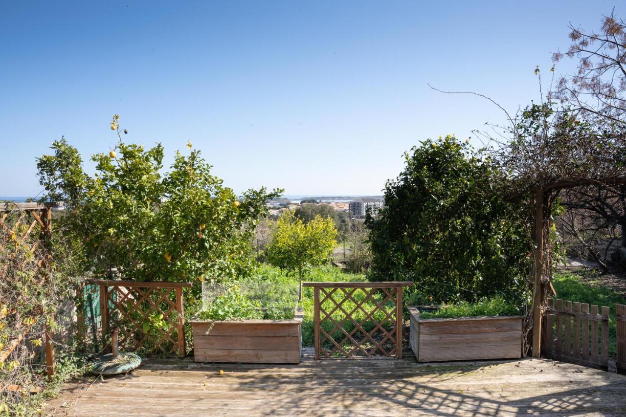 Apartament Corsica Fiurita Furiani Zewnętrze zdjęcie